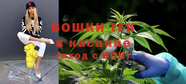 дурь Арсеньев