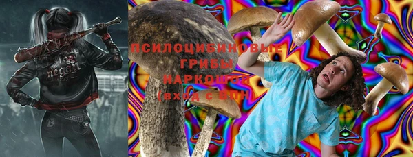 mdpv Заволжск