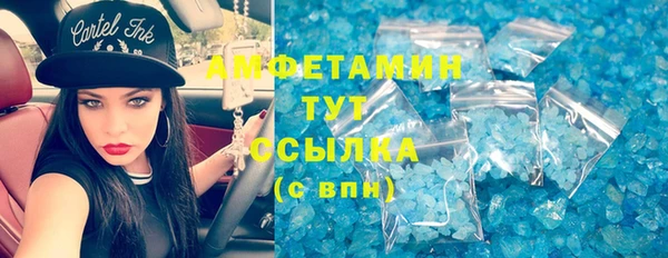 PSILOCYBIN Аркадак