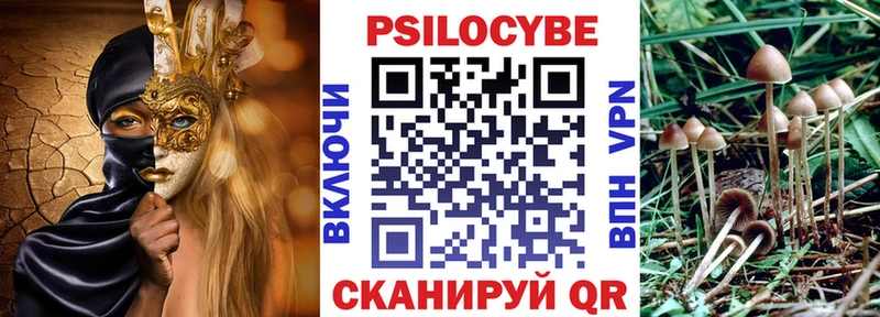 даркнет сайт  блэк спрут ONION  Псилоцибиновые грибы Magic Shrooms  Подпорожье 